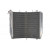 Radiator RAD-603 Kawasaki ZX-10R 1000 ABS 2012-2017 / ZX-10R 1000 -11-17 Radiator RAD-603 Kawasaki ZX-10R 1000 ABS 2012-2017 / ZX-10R 1000 -11-17 thumb