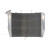 Radiator RAD-631 Kawasaki ZX-6R 636 2013-2017 Radiator RAD-631 Kawasaki ZX-6R 636 2013-2017 thumb