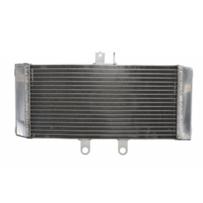 Radiator RAD-624 Suzuki GSF 650/ A / S / SA