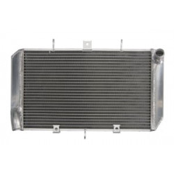 Radiator RAD-666 KTM Duke 200 2013-2017 Radiator RAD-666 KTM Duke 200 2013-2017