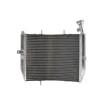 Radiator RAD-613 Triumph Daytona 675 2006-2012 Radiator RAD-613 Triumph Daytona 675 2006-2012 thumb