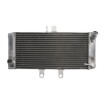 Radiator RAD-624 Suzuki GSF 650/ A / S / SA Radiator RAD-624 Suzuki GSF 650/ A / S / SA thumb
