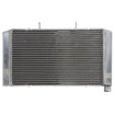 Radiator RAD-517 Honda CB 600F / 600FA (Hornet ABS) - 2008-2013 Radiator RAD-517 Honda CB 600F / 600FA (Hornet ABS) - 2008-2013 thumb