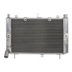 Radiator RAD-663 Yamaha FZS 1000 2001-2005 thumb