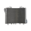 Radiator RAD-593 Kawasaki ZZR 1100D 1993-2001 / Kawasaki ZZR 1100G 1998-2001 Radiator RAD-593 Kawasaki ZZR 1100D 1993-2001 / Kawasaki ZZR 1100G 1998-2001 thumb