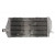 Radiator RAD-152L Gas Gas EC 125 2007-2012 thumb