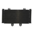 Radiator cu ulei RAD-555 Suzuki GSF 1200/1200S (Bandit) 2001-2006 Radiator cu ulei RAD-555 Suzuki GSF 1200/1200S (Bandit) 2001-2006 thumb