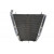 Radiator RAD-524 Honda CBR 1000RR (Fireblade) 2006-2007 Radiator RAD-524 Honda CBR 1000RR (Fireblade) 2006-2007 thumb