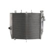 Radiator RAD-589 Kawasaki ZX-10R 1000 (Ninja) 2008-2010 Radiator RAD-589 Kawasaki ZX-10R 1000 (Ninja) 2008-2010 thumb