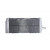 Radiator stanga RAD-151L Gas Gas EC 125 2000-2006 Radiator stanga RAD-151L Gas Gas EC 125 2000-2006 thumb