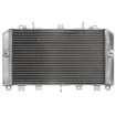 Radiator RAD-590 Kawasaki Z 1000 2003-2006 Radiator RAD-590 Kawasaki Z 1000 2003-2006 thumb