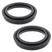 Semeringuri furca - praf AB57-101 Semeringuri furca - praf AB57-101 thumb
