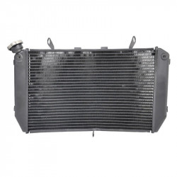 Radiator moto pentru YAMAHA FZ1 2006-2012 Radiator moto pentru YAMAHA FZ1 2006-2012