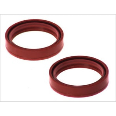 Garnituri amortizor AB55-120