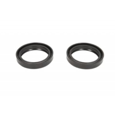 Garnituri amortizor P40FORK455160