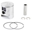 Kit piston SUZUKI RMX250 89-00, Marime D (66.96MM) thumb