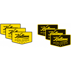 Stickere pentru motocicleta Thor S18S HALLMAN 6 buc.