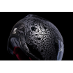 Casca ICON domain gravitas, Negru/Gri thumb