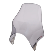 Parbriz PUIG NAKED C/SMOKE Parbriz PUIG NAKED C/SMOKE thumb