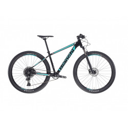 Bicicleta Bianchi MAGMA 9 1X11 6B