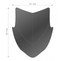 Mica moto AEROSPORT Yamaha MT-09 (2021-2022)