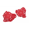 Kit protectii motor ACERBIS X-Power за Gas Gas EC250/300 24-25, EX250/300 24-25 Red Kit protectii motor ACERBIS X-Power за Gas Gas EC250/300 24-25, EX250/300 24-25 Red