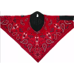 Masca pentru fata SPORTFLEX RED PAISLY Masca pentru fata SPORTFLEX RED PAISLY thumb