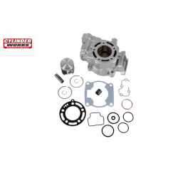 Kit cilindru  STD BORE 30009-K01
