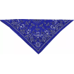 Bandana   COTTON NVY PAISLY thumb