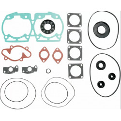 Garnituri SKI-DOO (BRP) Garnituri SKI-DOO (BRP)