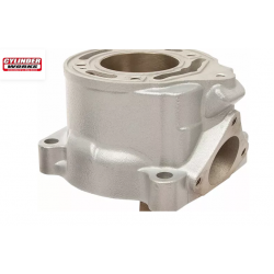 Cilindru STD BORE 50005