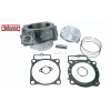 Kit cilindru STD 10006-K01