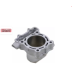 Cilindru  STD KX250F 30005 thumb