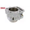 Cilindru STD RPTR 700 20004