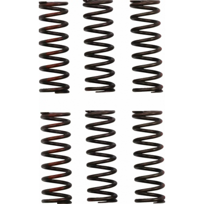 Arc de ambreiaj PROCIRCUIT CLUTCH SPRING CRF450R 21-24