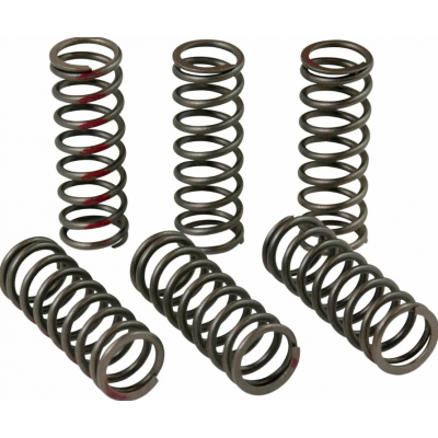 Arc de ambreiaj  PROCIRCUIT CLUTCH SPRING CRF450R 15-22