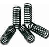 Arcuri de ambreiaj  PROCIRCUIT CLUTCH SPRINGS KXF/RMZ250