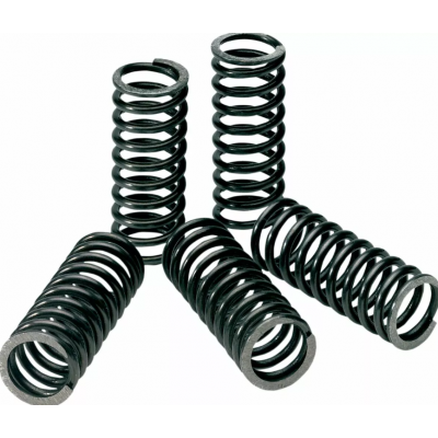 Arcuri de ambreiaj  PROCIRCUIT CLUTCH SPRINGS KXF/RMZ250