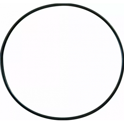 Inel pentru pompa de apă  PROCIRCUIT REPLCMNT O-RING 0940-0464