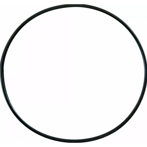 Inel pentru pompa de apă  PROCIRCUIT REPLCMNT O-RING 0940-0464