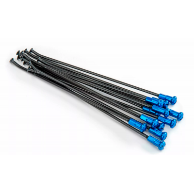 Spite KITE SPOKES 19 RR BK / BL NI 12PC Black/Blue Spite KITE SPOKES 19 RR BK / BL NI 12PC Black/Blue