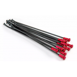 Spite  LOTE SPOKES 19 RR BK / RE NI 12PC Black/Red Spite  LOTE SPOKES 19 RR BK / RE NI 12PC Black/Red