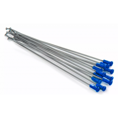 Spite KITE SPOKES 21'FR SI /BL NIP 12PC Silver/Blue Spite KITE SPOKES 21'FR SI /BL NIP 12PC Silver/Blue