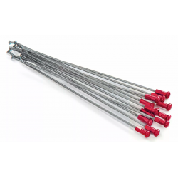 Spite KITE SPOKES 21FR SI /RE NIP 12PC Silver/Red Spite KITE SPOKES 21FR SI /RE NIP 12PC Silver/Red