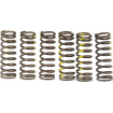 Arcuri de ambreiaj PROCIRCUIT SPRINGS CLUTCH RMZ450 thumb