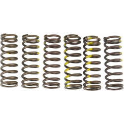 Arcuri de ambreiaj PROCIRCUIT SPRINGS CLUTCH RMZ450
