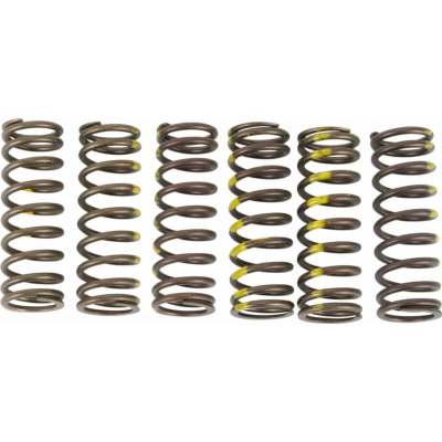 Arcuri de ambreiaj PROCIRCUIT SPRINGS CLUTCH RMZ450