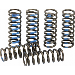 Arcuri de ambreiaj PROCIRCUIT SPRINGS CLUTCH YZ250F