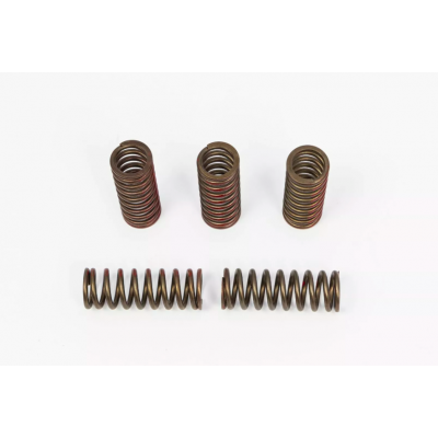 Arcuri de ambreiaj  PROCIRCUIT SPRNGS CLTCH CRF250R/X'20