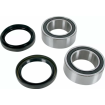 Kit rulment roată spate BEARING KIT WHEEL Rear Yamaha YFZ Kit rulment roată spate BEARING KIT WHEEL Rear Yamaha YFZ thumb